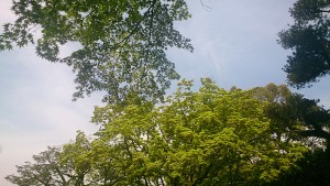 2015051801prblog