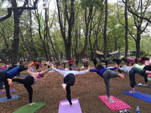 parkyoga10