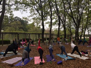 parkyoga11