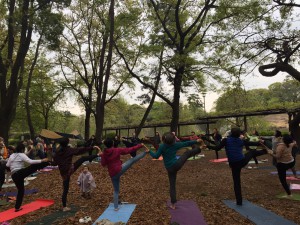 parkyoga12