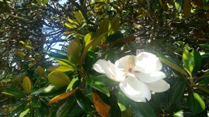 20150625_144801