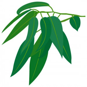 yu-kari