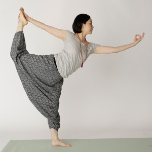 15AW_02_GR_model