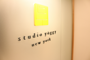 yoggy syasin