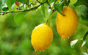 lemon