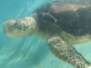 IMG_1173