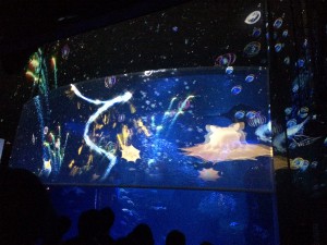 IMG_1753
