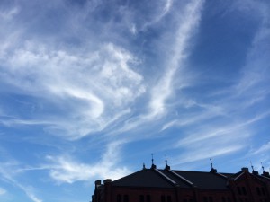 IMG_4366