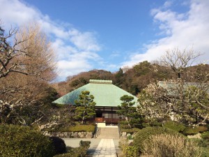 IMG_6074