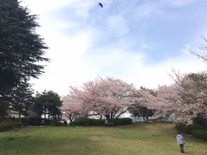 IMG_6701