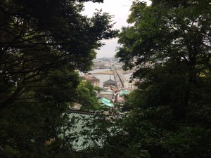 IMG_7387