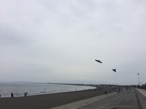 IMG_7391