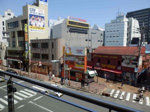 P5050384-min-3