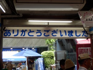P5050391-min