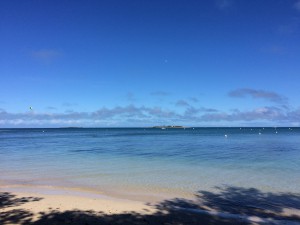IMG_6445