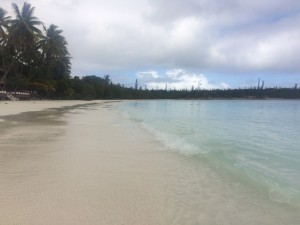 IMG_6601