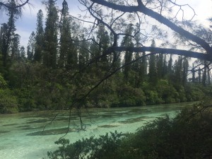 IMG_6613