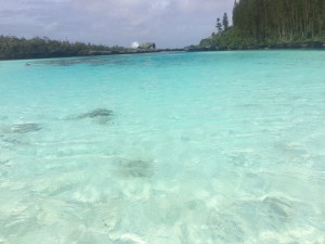IMG_6615