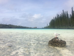 IMG_6635