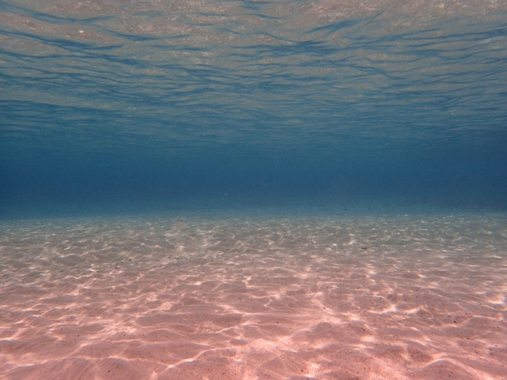 image10