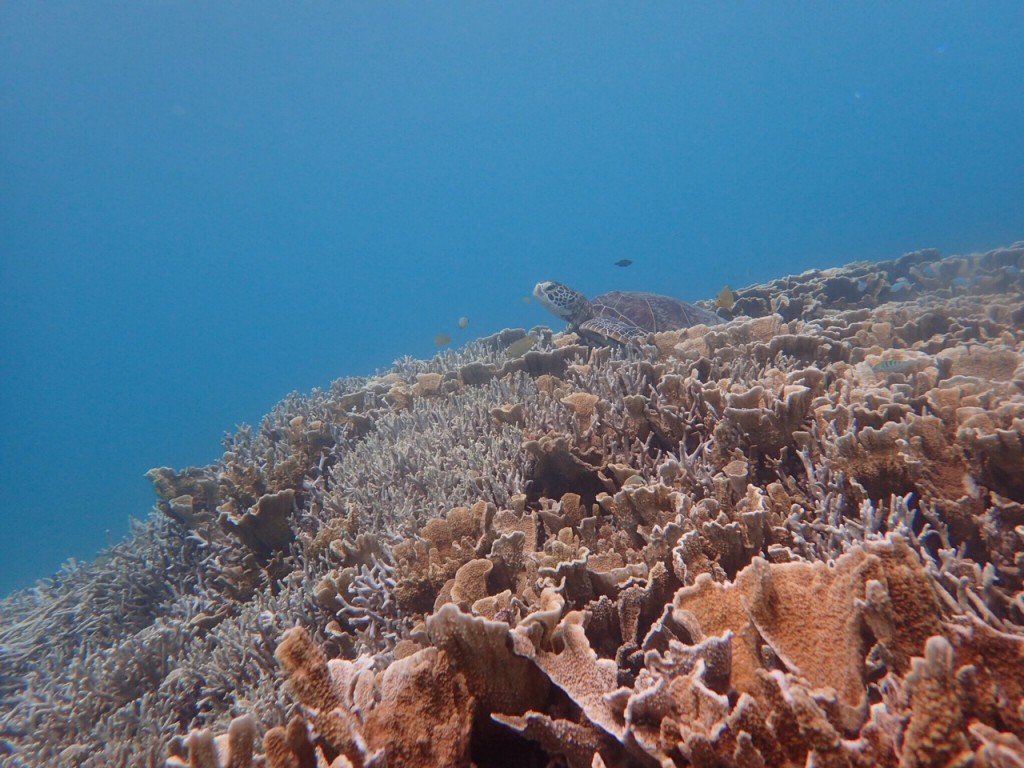 image12
