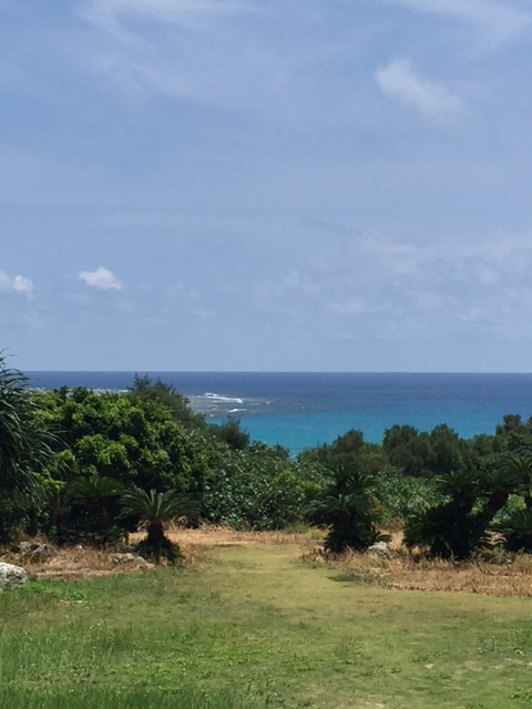 image6