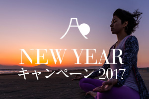 thum_2017newyear