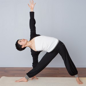 CO05_bk_model
