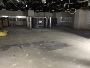 IMG_0862