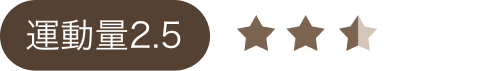 強度2.5