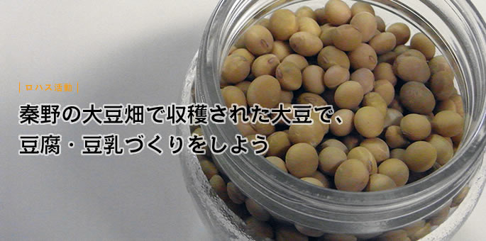 ロハス活動～秦野の大豆畑で収穫された大豆で、豆腐・豆乳づくりをしよう
