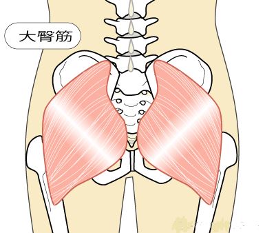 筋肉痛になると嬉しいところ スタジオ ヨギー 大宮 ヨガ ピラティスをライフスタイルに