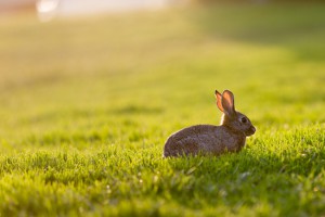 20140416_yoga