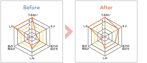 メディカル肌診断グラフ